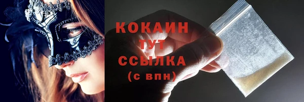 ECSTASY Дмитриев