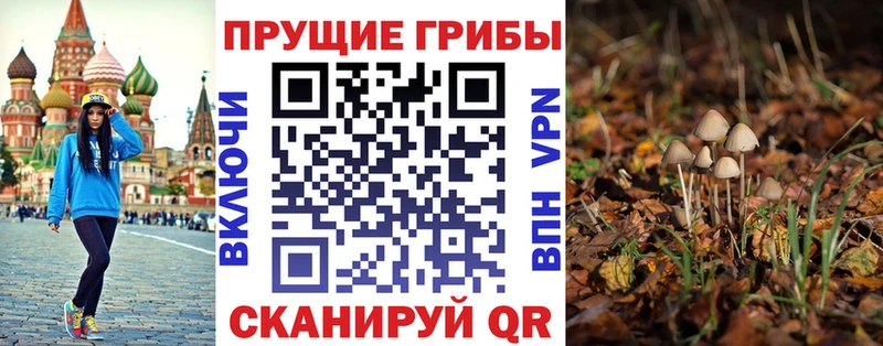 сайты даркнета официальный сайт  Каневская  Галлюциногенные грибы Psilocybine cubensis 